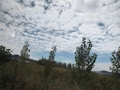 -尚朋堂烤鸭(锦绣蓝山店)