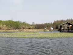 -溱湖国家湿地公园
