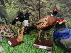 -房山世界地质公园博物馆