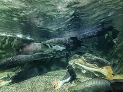 -太平洋海底世界