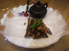 -半岛公馆(淞兴西路店)