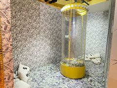 -不可思议减压馆·解压博物馆·摔碗发泄·团建定制