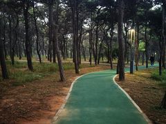 -兴城海滨风景区