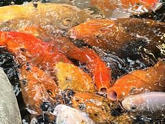 -上海大自然野生昆虫馆(东方明珠·爬宠昆虫探索中心)