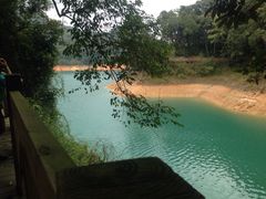 iphone_upload_pic-广州市流溪河国家森林公园
