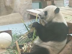 -无锡动物园·太湖欢乐园