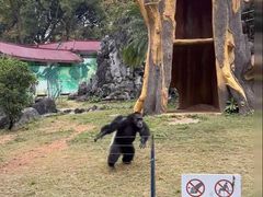 -祥源·阜阳生态乐园