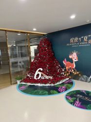 -丰联丽格医疗美容·联合丽格眼整形中心