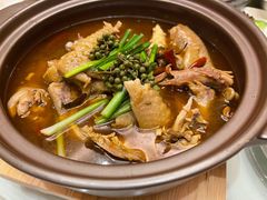 新派椒麻鸡-宏宴·新京菜(望京店)