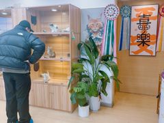 -猫十亿·布偶金渐层·曼基康矮脚猫舍(青年路店)