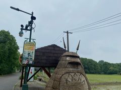 -嘉北郊野公园