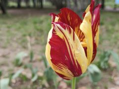 -郑州中国绿化博览园