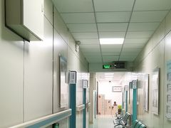 -北京观赏动物医院·24小时大型综合·猫专科·异宠专科