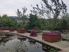 -白马涧龙池景区