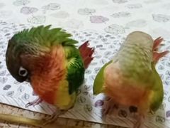 -晓港公园