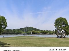 -上海月湖雕塑公园