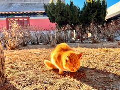 -大钟寺古钟博物馆