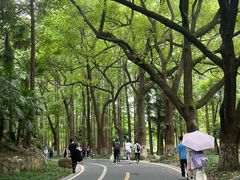 -采石矶景区