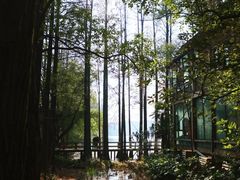 -东湖生态旅游风景区