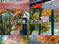 -东平国家森林公园
