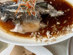 -普天和酒楼(天津之眼店)