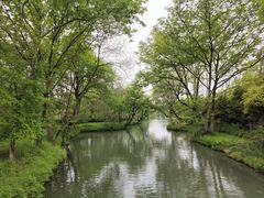 -西溪国家湿地公园