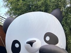 -杭州植物园