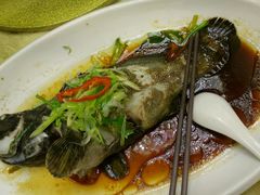 -和乐喜宴海鲜酒家(骏荣广场店)