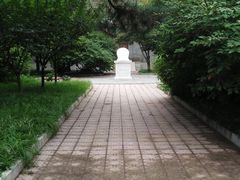 -中央民族大学
