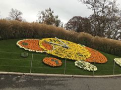 -花钟