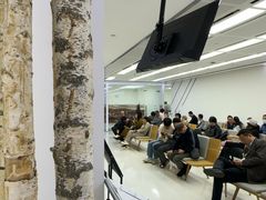 -极简口腔(总院)