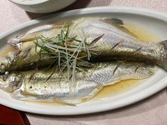 清蒸白水鱼-天福苑(崇宁路店)
