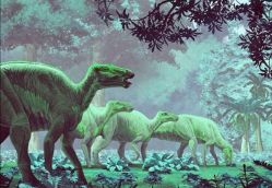 -恐龙探索乐园(磁器口店)