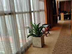 -克丽司汀酒店-日光阁餐厅