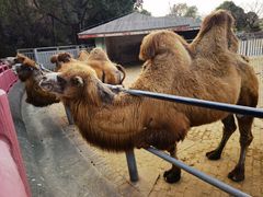 -无锡动物园·太湖欢乐园