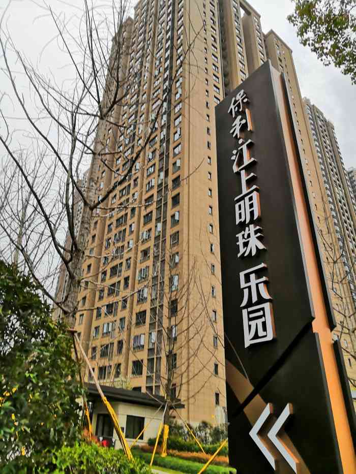 保利江上明珠乐园-"说真的,是保利的楼盘,品质还是不错的,后.