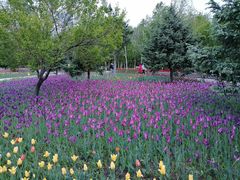 -长春公园(普阳街道)