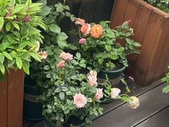 -上海仁瑞护理院·医养康复·临终关怀