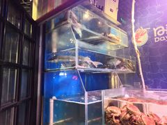 -日进一片海.生腌海鲜火锅.宵夜烧烤(三里屯总店)
