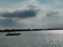 -大湾区中央湿地公园-十九涌