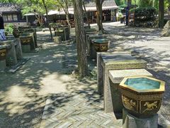 -兰亭风景区
