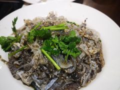 东江鱼皮-美乐食街(小南店)