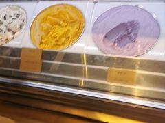 -哈根达斯(天河城店)