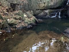 -广州市帽峰山景区