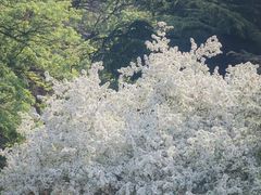 -汇泉广场