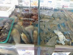 -清水湾3号(东方小周海鲜店)