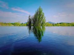 -大连铭湖国际观光牧场