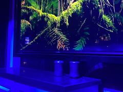 -AGOGO HOUSE KTV(东街店)