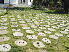 -武汉紫薇都市田园