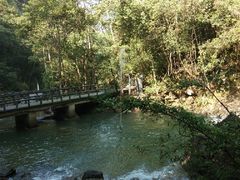 -九龙江国家森林公园